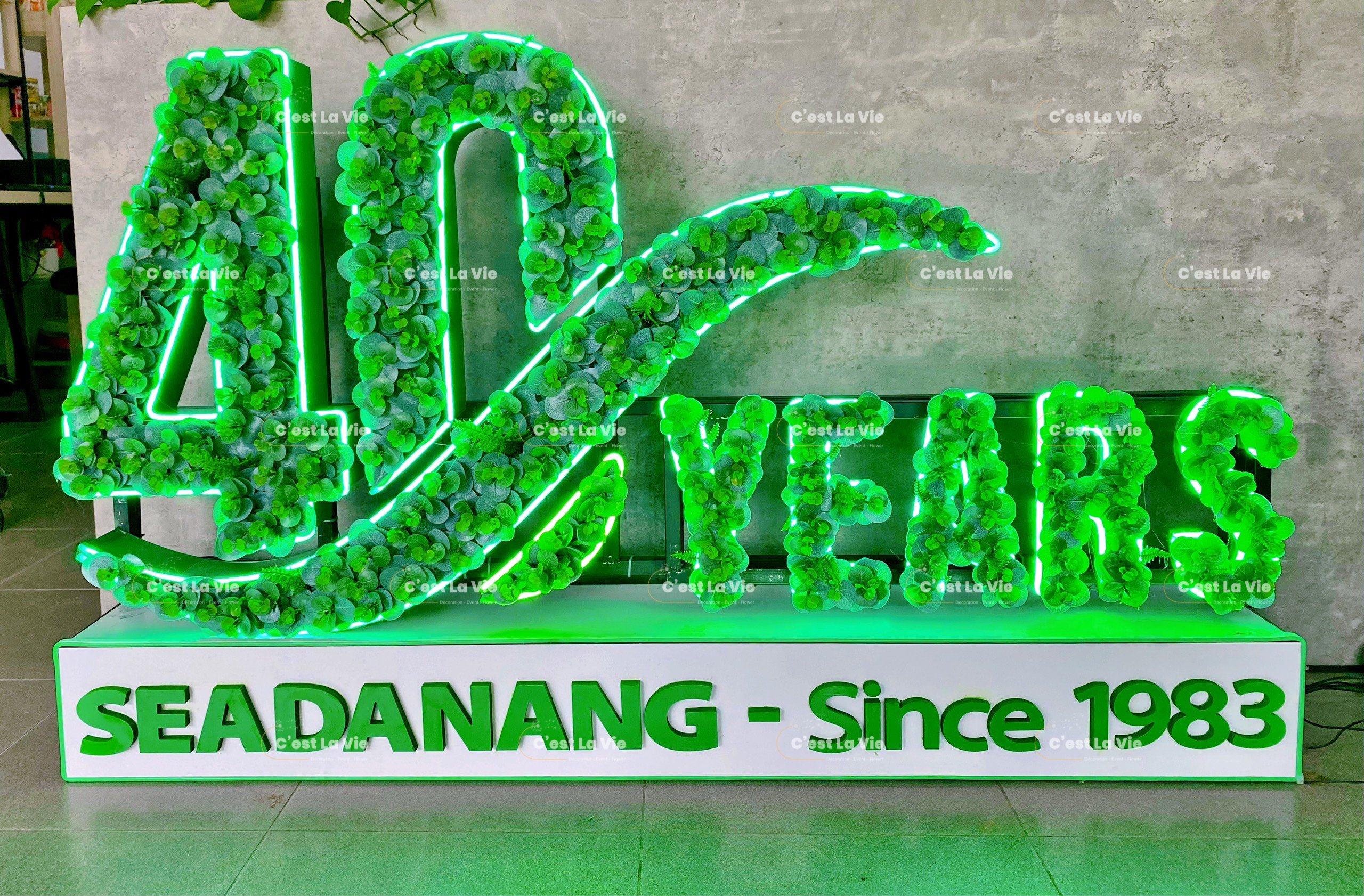 z4177429526642_4b3245f6d27a56f0f8c9138fe9d77c81