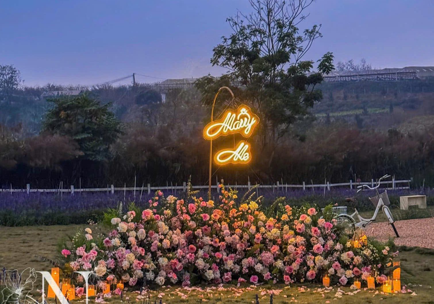 z6536268801361_49934f74295d54bb3011671937212761 - Trang Trí Cầu Hôn Bãi Biển Đà Nẵng — Khoảnh Khắc “Yes” Hoàn Hảo - C'est La Vie